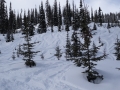 3. Tag in Bugaboo – 14