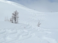 3. Tag in Bugaboo – 56