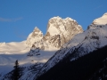 4. Tag in Bugaboo – 03