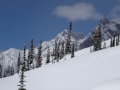 4. Tag in Bugaboo – 37